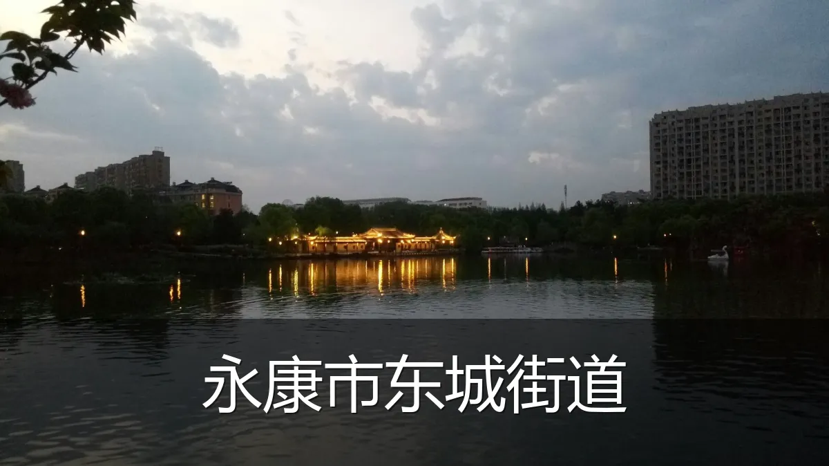 永康市东城街道