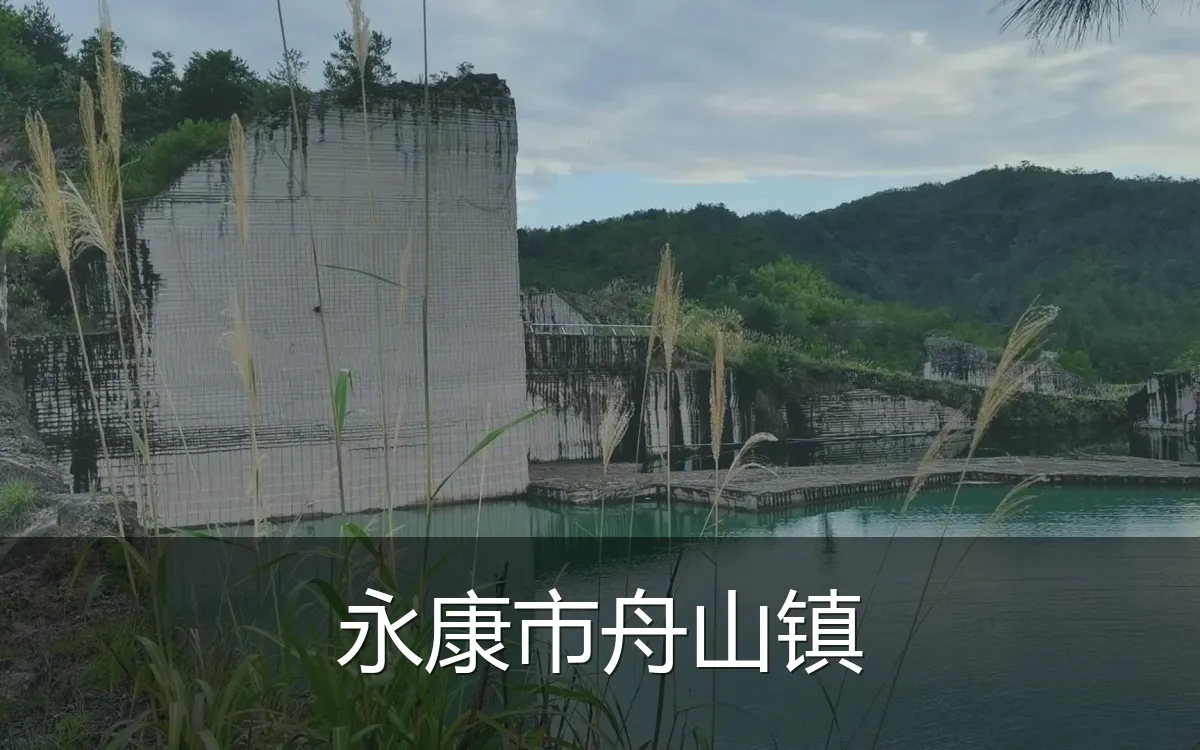 永康市舟山镇