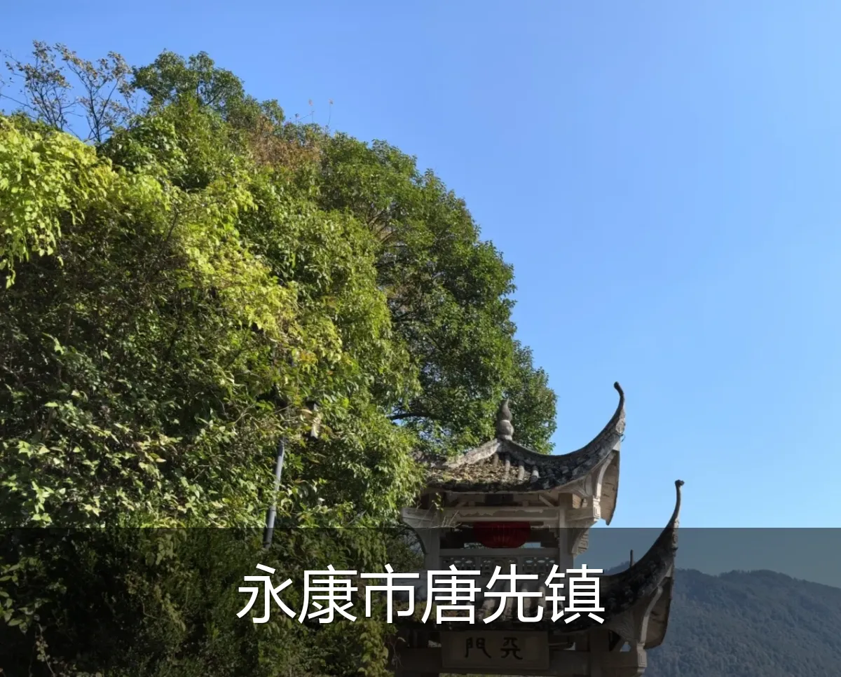 永康市唐先镇